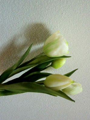 Tulpen im Bündel 4 Stück, Farbe Weiß/ Grün, künstliche Blumen natural touch