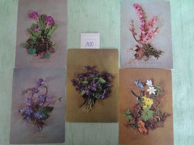 5 alte Postkarten AK Horn Verlag 51-H3425 Germany Strukturkarte Blumen Geburtstag