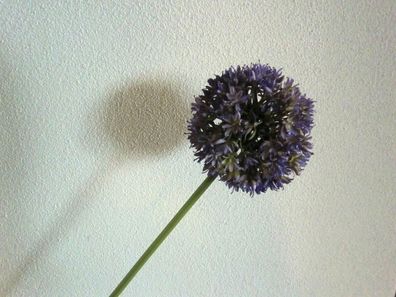 Allium künstlich, Farbe Lila, Kunstblume, Seidenblume, Zierlauch