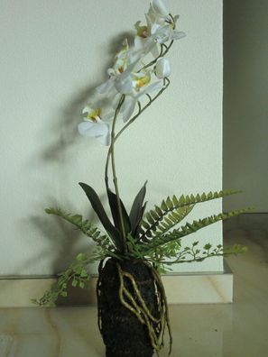 Orchidee weiß mit 2 Blütenrispen, in künstl. Erdballen m. Farn, natural touch Kunstbl