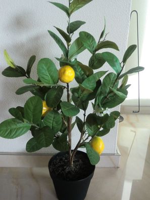 Zitronenbäumchen mit 5 Früchten und Blüten, 65 cm hoch