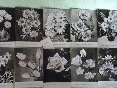 8 Postkarten AK Amag s/ w Fotolux Echt Fotographie Serie 9200 Blumen Namenstag