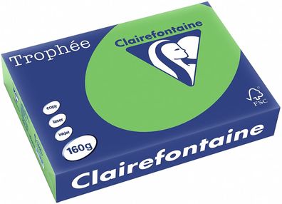 Clairefontaine Trophee Papier 1025C Maigrün 160g/ m² DIN-A4 - 250 Blatt