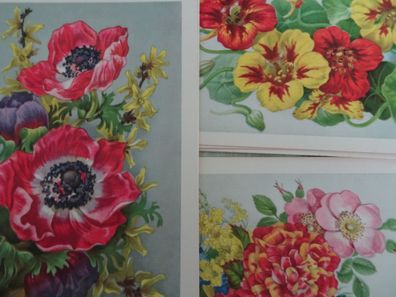 alte Postkarten AK EAS Kunstverlag Berlin V/ K2092 Blumen wie gemalt neutral