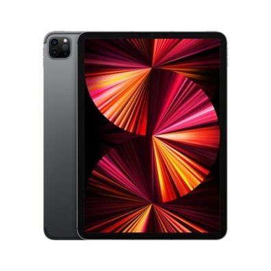 Apple iPad Pro 3. Gen 2TB, 5g + Wi-Fi, 11 Zoll - Space Grau