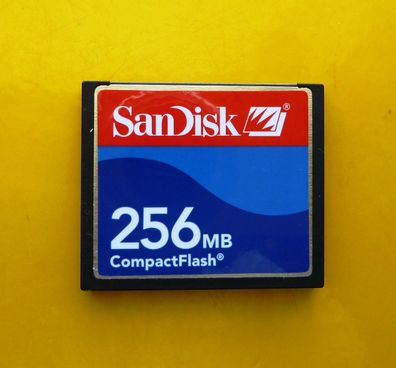 256 MB SanDisk CompactFlash CF Typ I Compact Flash SDCFJ-256 256MB