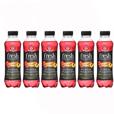 Teekanne fresh Granatapfel Pfirsich Echter Früchtetee 500ml 6er Pack