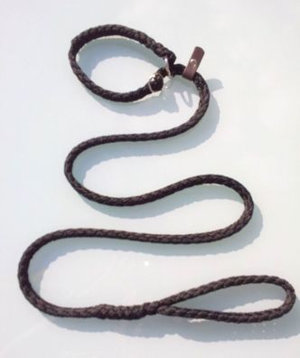 Agilityleine Retrieverleine Hundeleine 1,70m mit Halsband 2 Stops schwarz