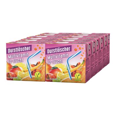 Durstlöscher Multivitamin fruchtiges Fruchtsaftgetränk 500ml 12er Pack