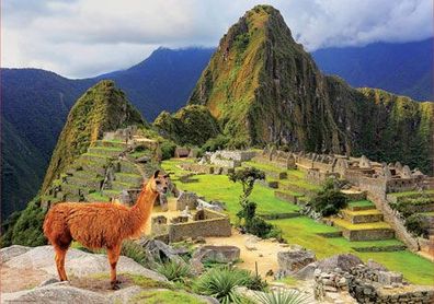 Machu Pichu