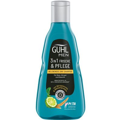Guhl Men 3in1 Frische und Pflege belebendes Shampoo mit Koffein 250ml