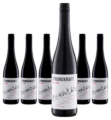 6 x Sprungkraft Cuvée rot "Weit" – 2021