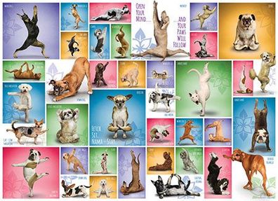Collage - Yoga Hunde