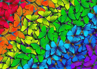 Regenbogen Schmetterlinge