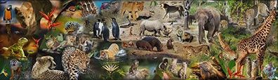 Afrikanisches Wildleben (mehr als 50000 Teile!)