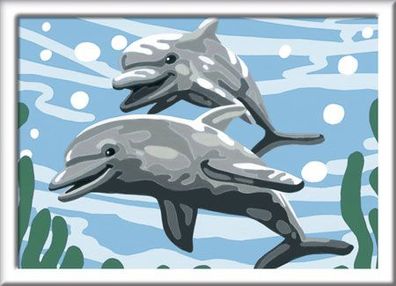 Freundliche Delfine