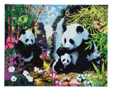 Im Tal der Pandas