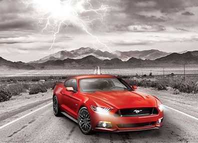 Ford Mustang 215