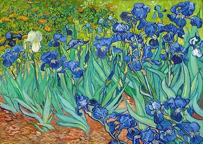 Vincent Van Gogh: Schwertlilien