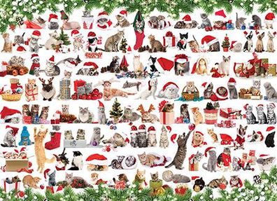 Katzen in Weihnachtsstimmung