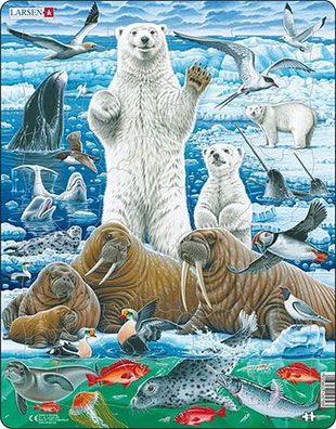 Motivpuzzle - Nordpol mit Eisbär und Walross