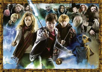 Der Zauberschüler Harry Potter