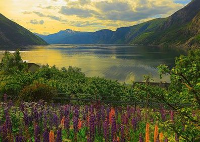 Fjord in Norwegen