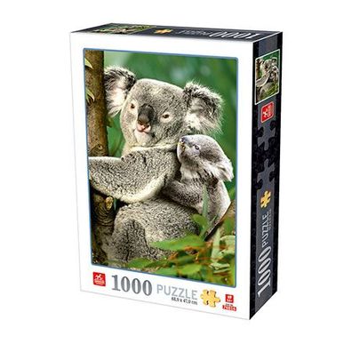 Niedliche Koalas
