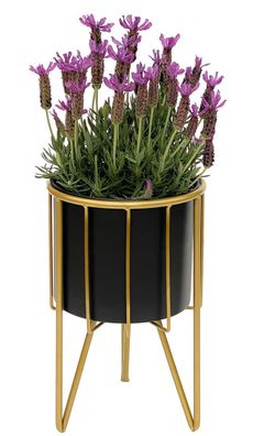 DanDiBo Blumenhocker mit Topf Metall Gold Schwarz Rund S 32 cm Blumenständer 960