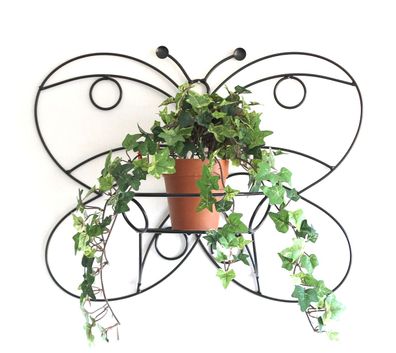 DanDiBo Wandtopfhalter Metall Schwarz 50 cm Schmetterling Blumenständer KW048 Wa