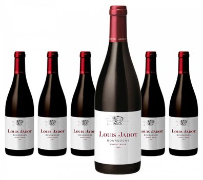6 x Louis Jadot Bourgogne Rouge Pinot Noir – 2021