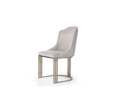 Stuhl für Wohnzimmer für Esszimmer Farbe grau Material Metallgewebe Modern