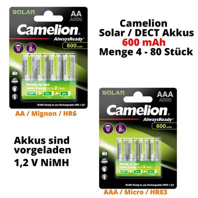 Camelion Solar & DECT Akku Mignon AA HR6 Micro AAA HR03 1,2 V 600mAh NiMh