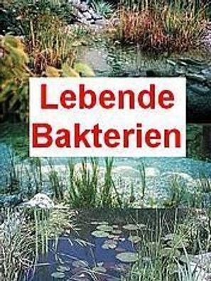 100 g lebende Bakterien + 1 Seerose für den Teich