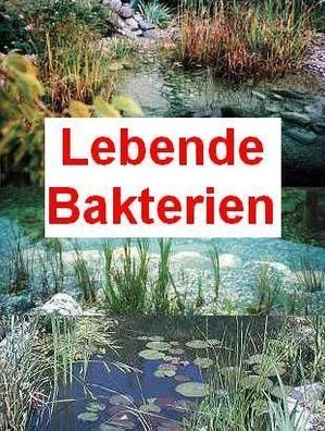 100 g lebende Bakterien + 2 große Schwimmpflanzen