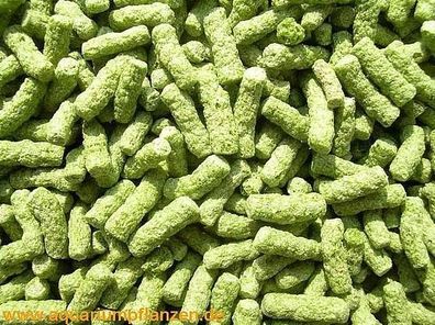 10.000 ml Premium Teichsticks grün für Koi