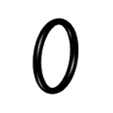 O-Ring 20 x 2mm (200°C) Premium Plus Dichtring 490000501