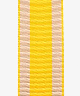 Ordensband Braunschweig, Waterloo-Medaille 50cm