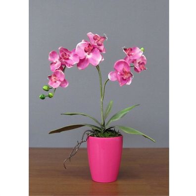 1x Kunstpflanze Phalenopsis x 2, pink Deko, Blume