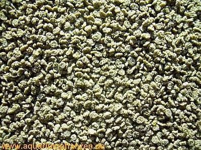 250 ml Chichlidengranulat grün, Granus, Barsche