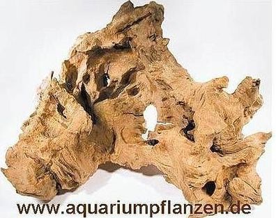 3 Mooreichenwurzeln je 20-30 cm Wurzel, Aquarium, Moor