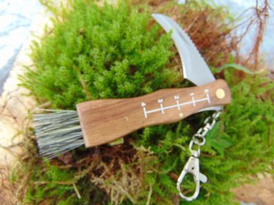 Pilzmesser, Schwammerl Messer mit Skala Bürste Holzgriff Klappbar Neu