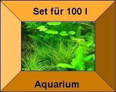 5 Töpfe + 5 Bund Wasserpflanzen, Aquarienpflanzen