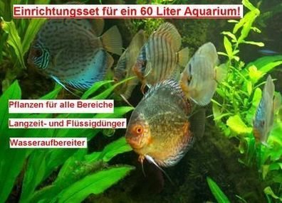 Aquarium SET FÜR 350 LITER Aquarium, Wasserpflanzen