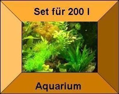 7 Töpfe + 7 Bund Wasserpflanzen, Aquarienpflanzen