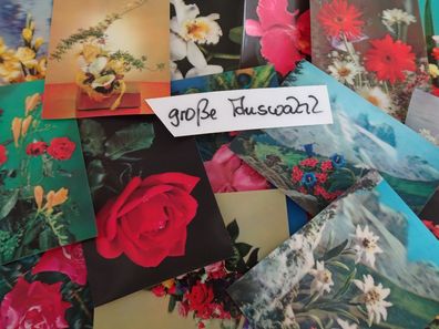 alte Postkarten AK 3D Toppan Stereo Gunkel Blumen Fresien Edelweiss Enzain Rosen....