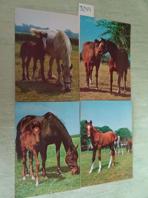 4 alte Postkarten AK obp Obpacher GmbH Tiere Pferde Serie 49-3023