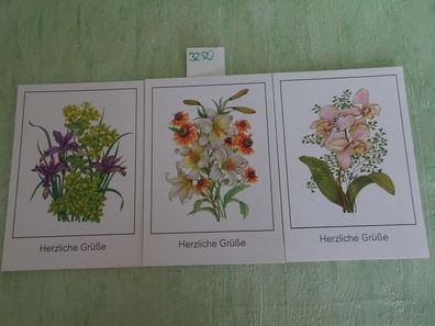 3 alte Postkarten AK Planet Verlag Berlin H. Haluza Blumen wie gemalt Herzliche Grüße