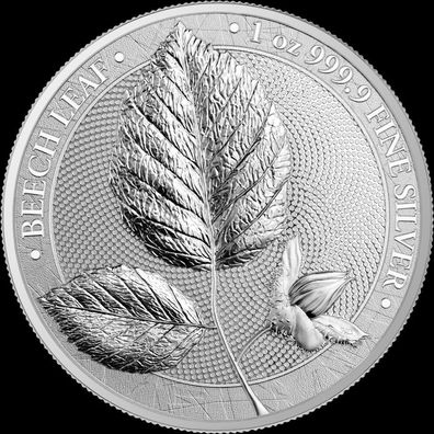 Germania Mint Beech Leaf Mystischer Wald 1 OZ Silber 2023 5 Mark ST