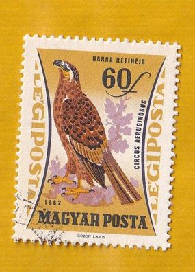 Ungarn Motiv - Vogel Rohrweihe ( Circus aeruginosus ) o